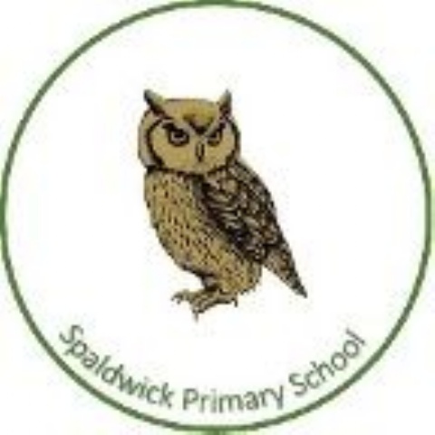 Higher Level Teaching Assistant (SPS)