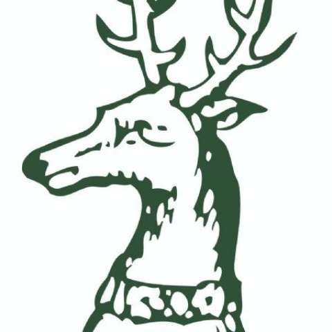 Teacher of Physics (Joint Head of Physics)
