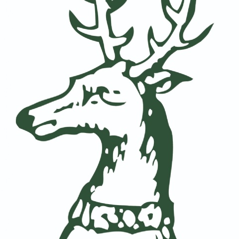 Examination Team (Invigilators)